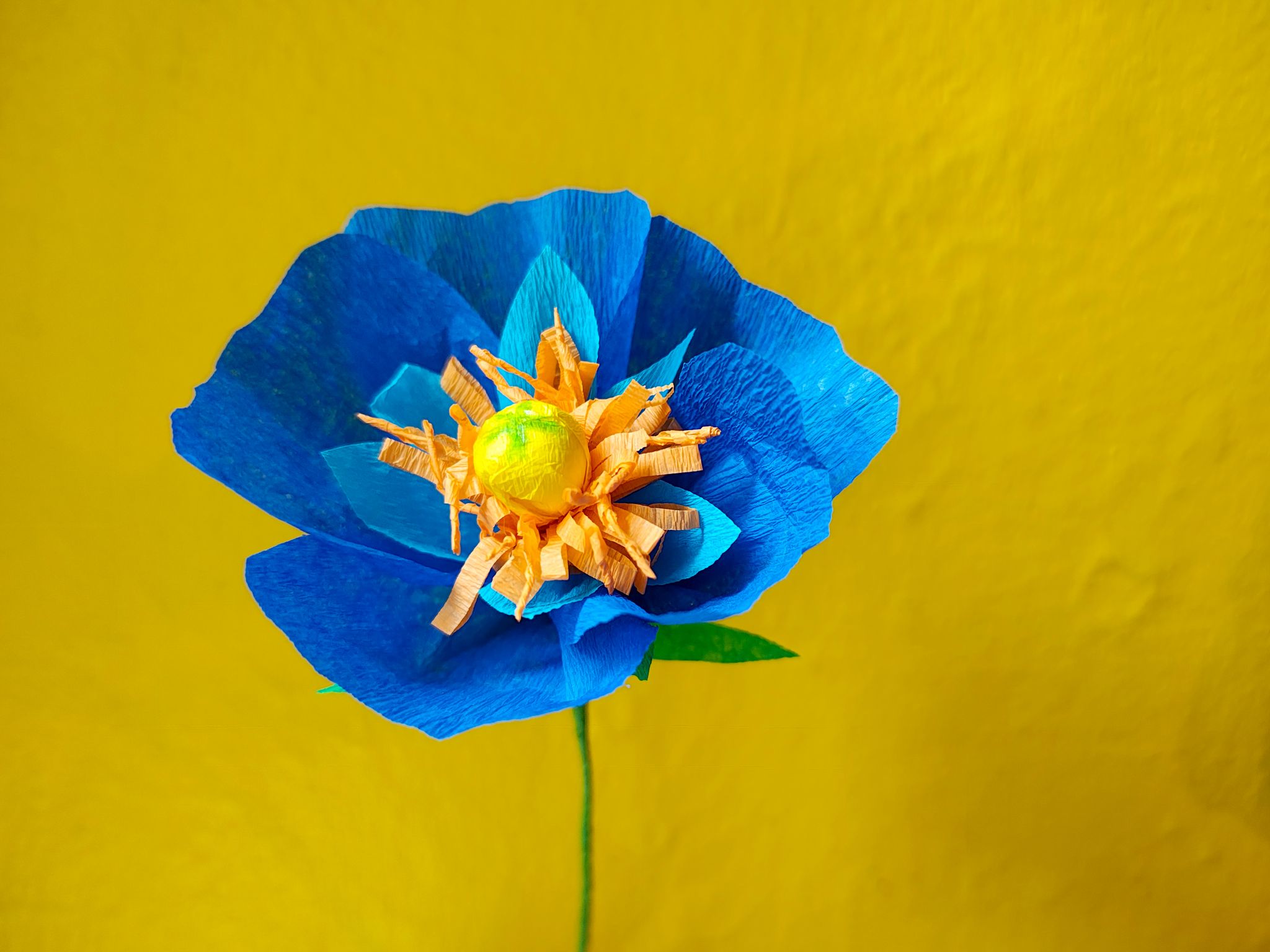 Für den Muttertag: Blumenstrauß aus Krepppapier basteln